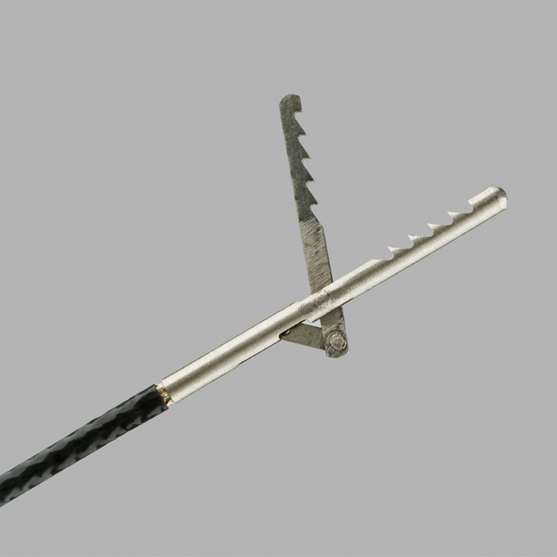 Pinza de copa para biopsia Cook Medical