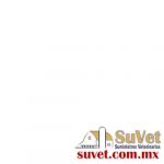 Atramat catgut simple G3728-75 con aguja G-37 de 37 mm