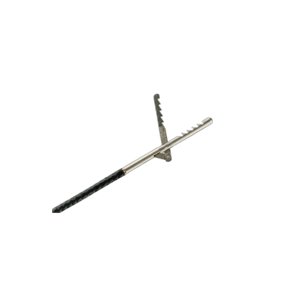 Cook Medical Alligator Tooth, pinza de extracción de mandíbula sencilla con dientes de cocodrilo, sobre fondo blanco