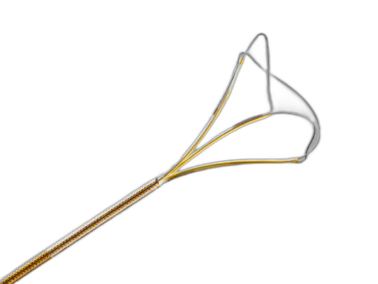 Cook Medical NGage, extractor de cálculos de nitinol 2.2 Fr x 115 cm, sobre fondo blanco