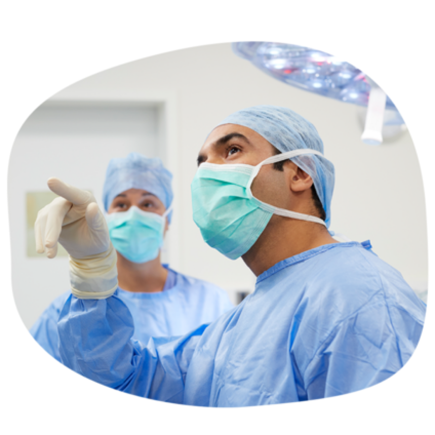 Familia OASIS Wound Matrix de Smith & Nephew