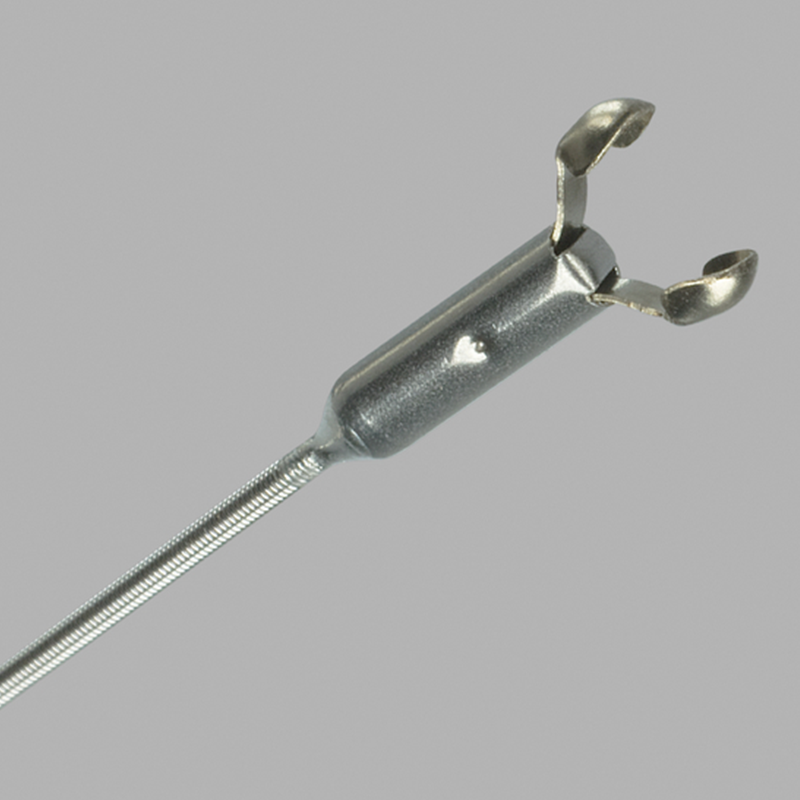 Pinza de biopsia Cook Medical BIGopsy