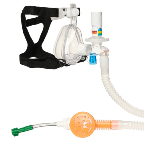 Pulmodyne 313-8017X, O2-MAX Trio para CPAP adulto grande