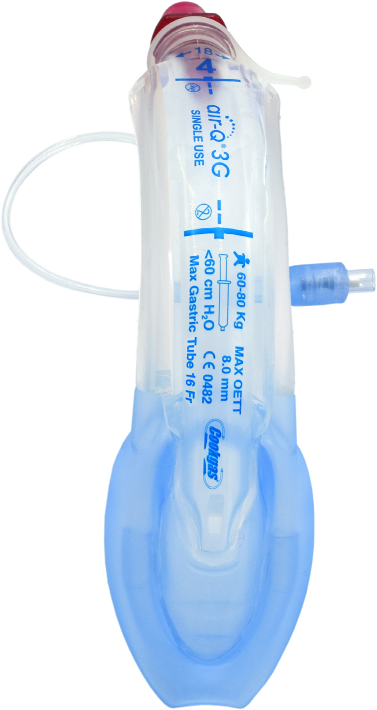 Air-Q3G, fotografía de familia en talla 4; ficha de referencia 50155, talla 1.5, una pieza